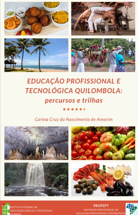 Educação Profissional e Tecnológica Quilombola: Percursos e Trilhas